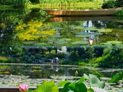 -云溪植物园