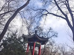 -莲湖公园