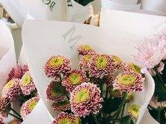 -BOBLOOM花店(宝龙旭辉广场店)