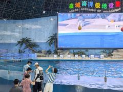 -泉城欧乐堡海洋极地世界