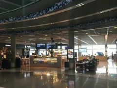 -法兰克福机场免税店(2号航站楼店)