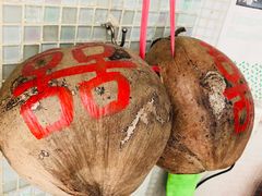 -洪馨椰子