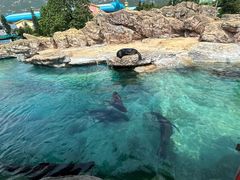 -珠海长隆海洋王国