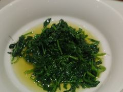 -紫阳富豪大酒店(惠南店)