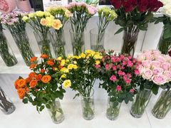 -摩登百货(岗顶店)