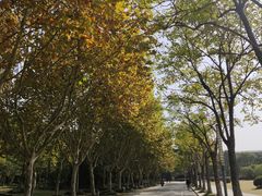 -东华大学(松江校区)
