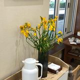 哇哦[礼花]吹风喝咖啡☕️不要太爽