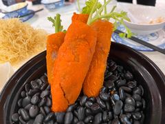 -丁老爷子苏香圆