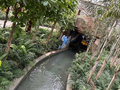 -南宫五洲植物乐园