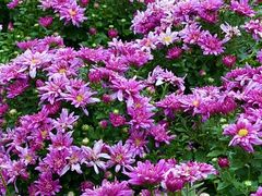 -中国杭州低碳科技馆