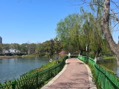 -金银湖国家城市湿地公园