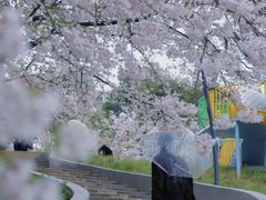 -杭州少年儿童公园