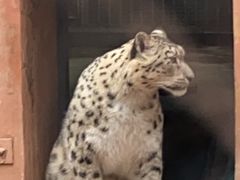 -青藏高原野生动物园
