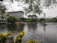 -文瀛公园
