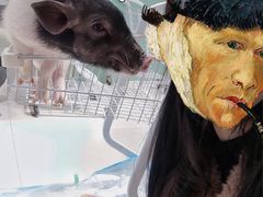 -怪兽屋·羊驼·猫咖·狗咖(俊华广场店)