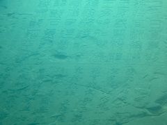 -白鹤梁水下博物馆