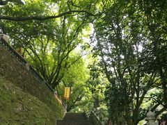 -飞霞风景名胜区
