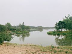 -东郊湿地公园