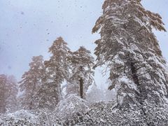 -瓦屋山景区