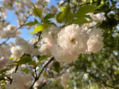 -白塘生态植物园