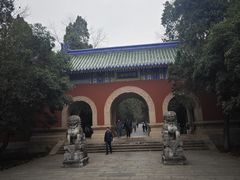-灵谷景区