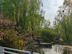 -石家庄市植物园