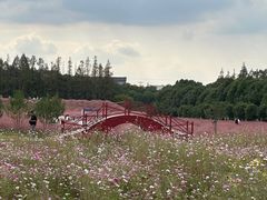 -嘉北郊野公园