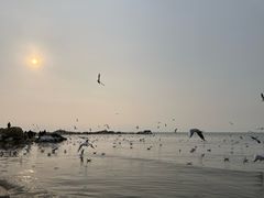 -老虎石海上公园