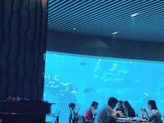 -海棠湾洲际-涛·海底餐厅·美人鱼·自助餐·海底隧道