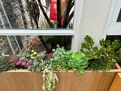 -昆明植物园