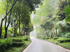 -青城道汤池