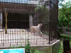 -广东茂名森林公园
