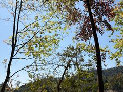 -凤岗南门山森林公园