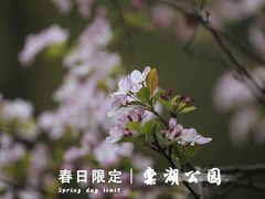 -棠湖公园