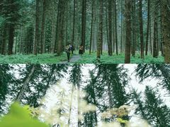 -硗碛藏寨·神木垒景区