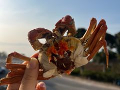 -美味之家·湖景农家乐(太湖东山店)