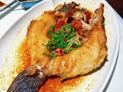 鲜花椒油浸笋壳鱼-侨美食家·41年地道粤菜(珠江新城店)