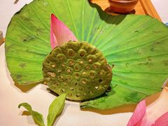 -叶叶菩提(太原别墅店)