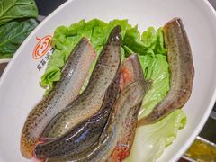 -洞子口重庆鲜货火锅(楚翘城旗舰店)