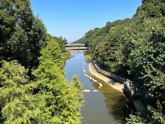 -广州市帽峰山景区