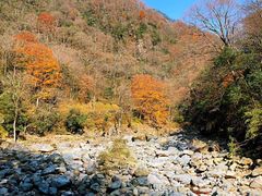 -光雾山旅游景区