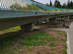 -白鹭湾湿地公园