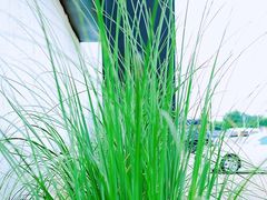 -来回·咖啡(钟村咖啡豆店)