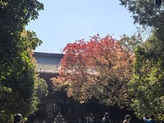 -灵谷景区