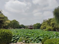 -莲池书院博物馆