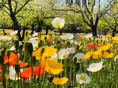 -名花谷生态庄园