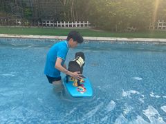 -汪说喵讲宠物乐园宠物酒店(红星美凯龙店)