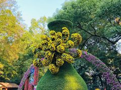 -杭州植物园