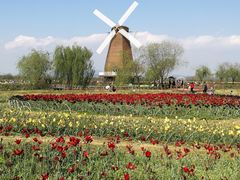 -漩门湾国家湿地公园