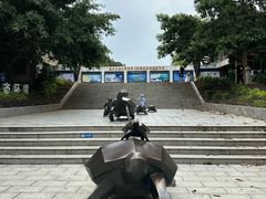 -广东惠东海龟国家级自然保护区